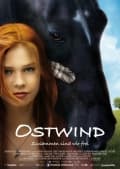 Ostwind - zusammen sind wir frei